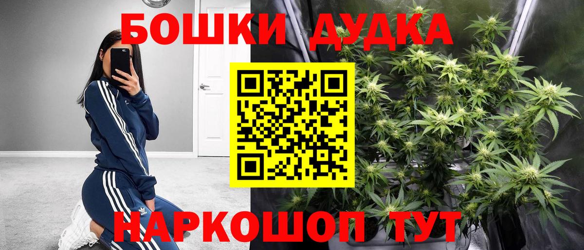 Канабис планчик Полевской